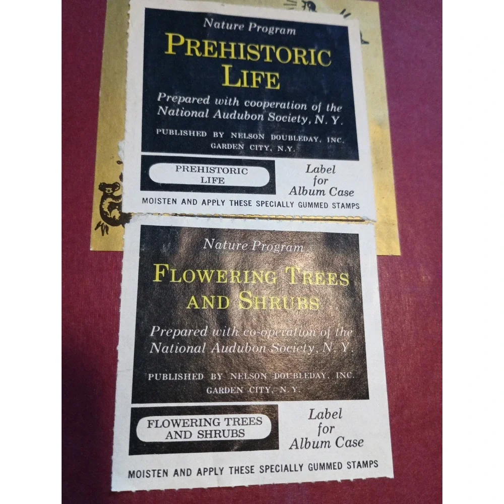 Vintage Nature Programa‎ Prehistoric Life Flowering Trees and Shrubs Collectible - Picture 3 of 16